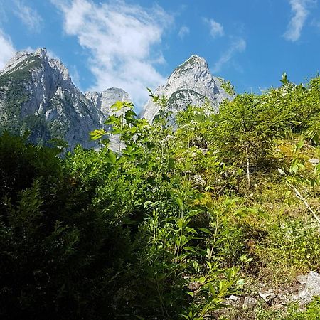 Gasthof Gosausee Bagian luar foto